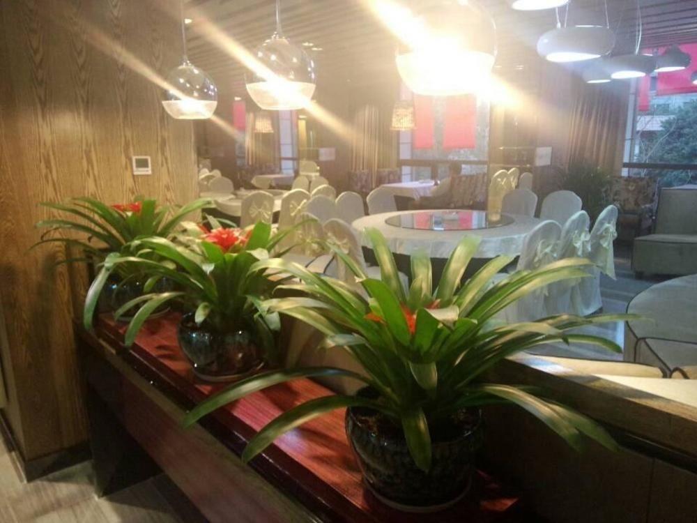 Chengdu Hello Hotel CTU Exterior foto
